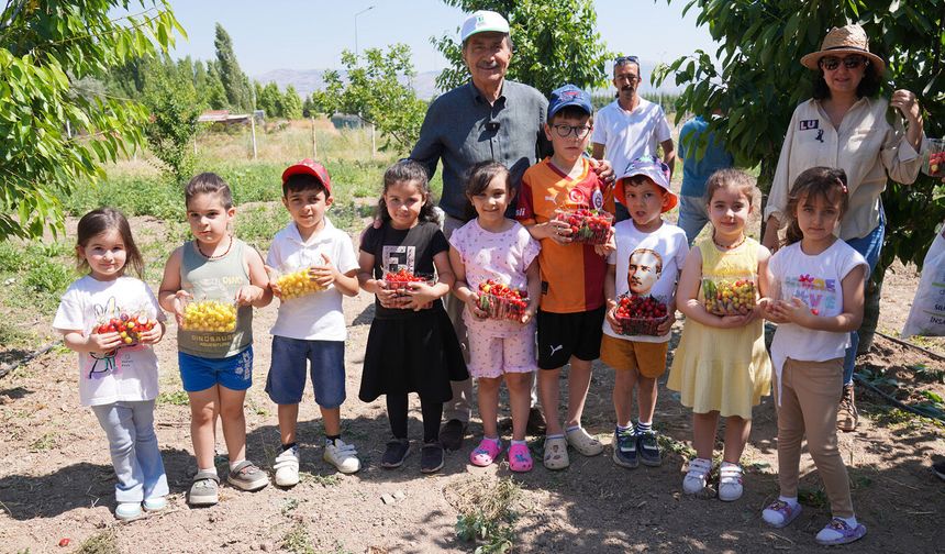 Tepebaşı'nda çocuklar dalından kiraz topladı
