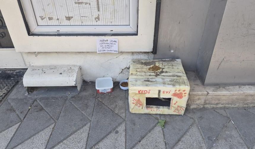 Eskişehir'de sokak hayvanlarının su kabını atanlara sert uyarı: "Atan zındıktır!"