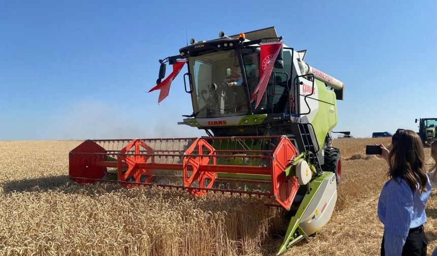 Biçerdöver kullanan Eskişehir Valisi Yılmaz: "Valiniz ne güzel çiftçilik yapıyor"