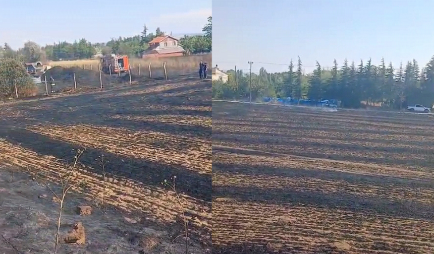 Eskişehir’de çıkan ot yangını büyümeden söndürüldü