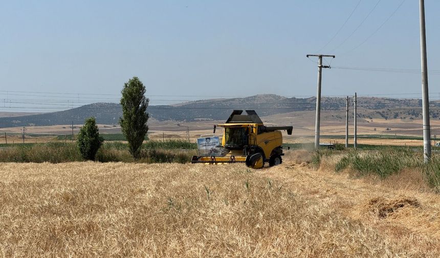 Eskişehir Büyükşehir Belediyesi'nin tarlalarında 77 ton arpa hasadı