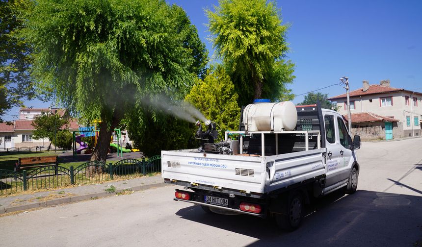Tepebaşı'nda sivrisinek ve uçkunlara karşı ilaçlama mesaisi sürüyor