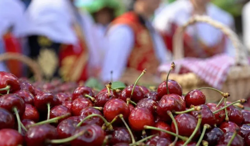 Mihalıççık’ta 46. Geleneksel Kiraz Festivali için geri sayım