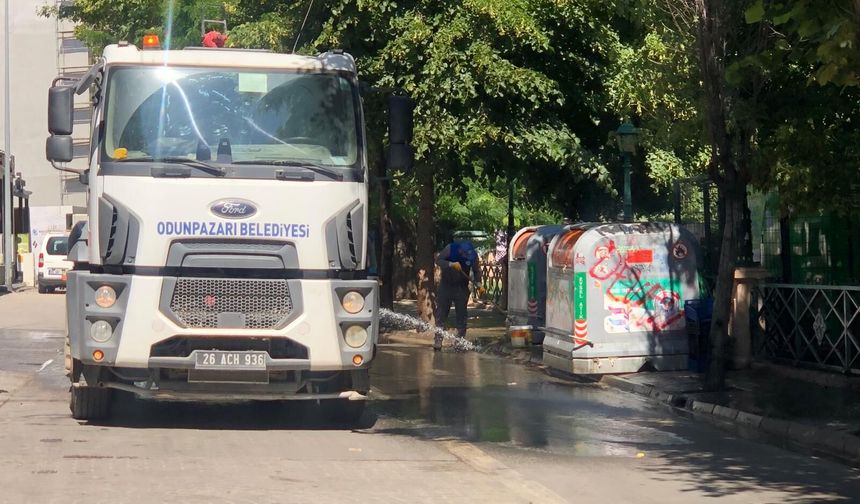Odunpazarı'nda çöp kutuları tek tek yıkandı