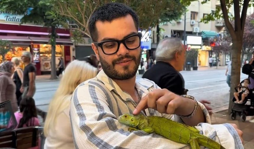 İguanayı görenler şaşkına döndü: Eskişehir sokaklarında ilginç görüntüler
