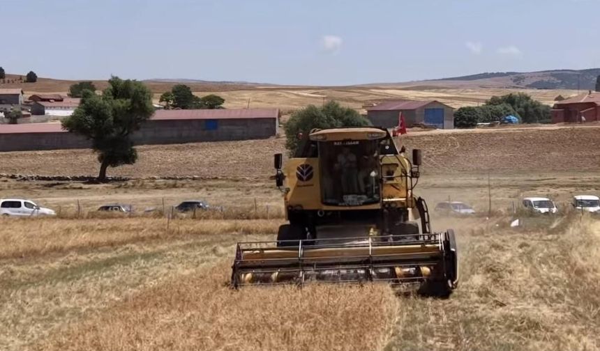 Eskişehir’den Kütahya’ya tarımsal destek: 18 yerli nohut çeşidi denendi