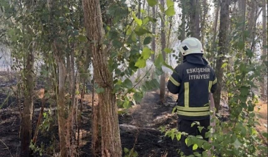 Emirdağ’da ağaçlık alanda yangın: Eskişehir itfaiyesi müdahale etti
