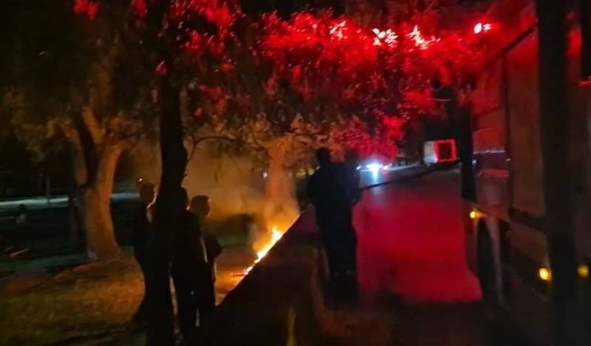 Eskişehir’de parkta gece yarısı yangın paniği