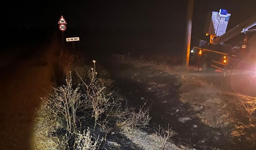 Eskişehir'de elektrik tellerine kuş çarptı, arazi yangını çıktı