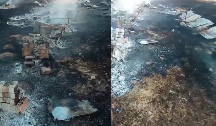 Eskişehir'de arılık yangını: Kovanlardaki tüm arılar telef oldu
