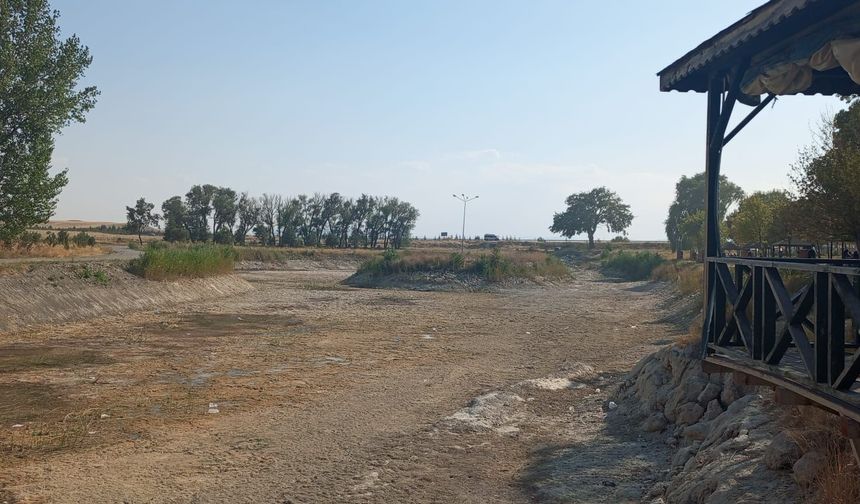 Sakaryabaşı’nda sular çekildi: Gölet tamamen kurudu!