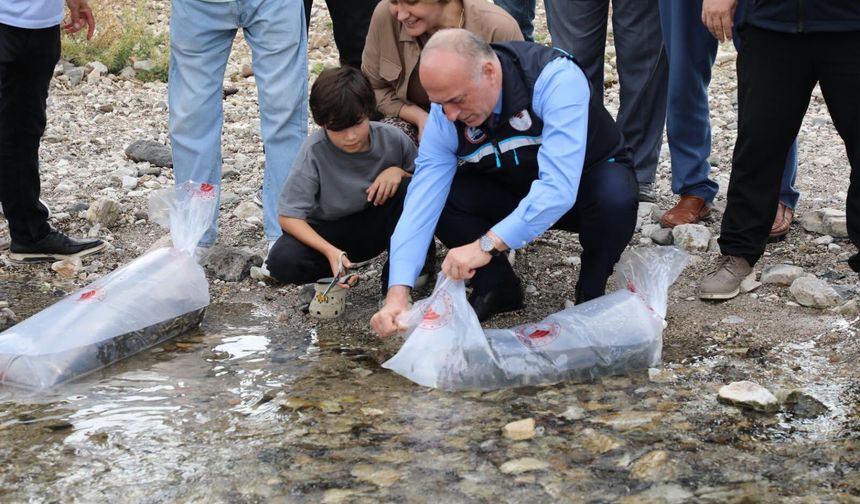 Eskişehir’de 30 su kaynağına 686 bin sazan yavrusu bırakıldı