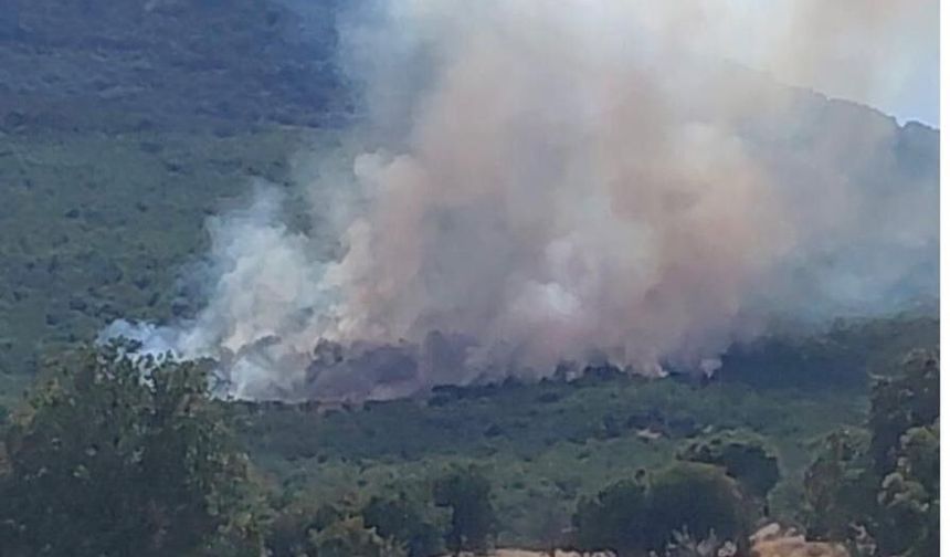 Eskişehir'de ormanlık alanda çıkan yangın kontrol altına alınmaya çalışılıyor