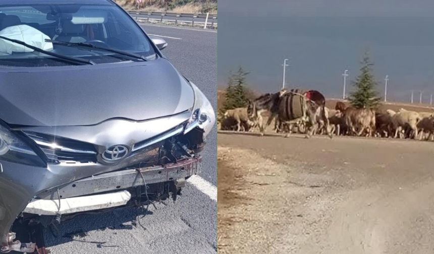 Sivrihisar’da yola fırlayan koyun kazaya neden oldu: 1 yaralı