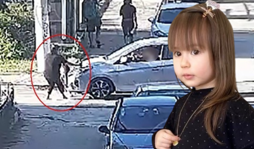 Minik Elif'e çarpan sürücü yeniden gözaltına alındı