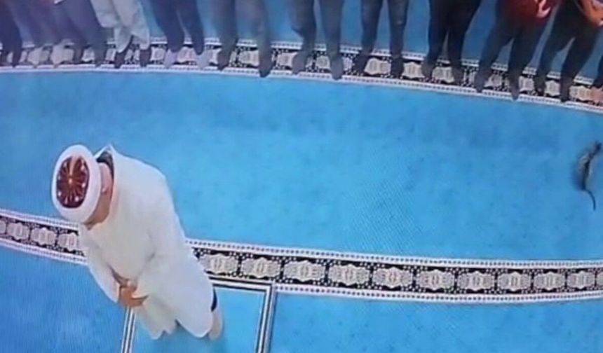 Camide kediyi tekmeleyen şahsa sosyal medyada tepki yağdı: Başsavcılık harekete geçti, gözaltına alındı