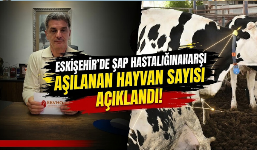 Eskişehir'de şap hastalığı açıklaması: On binlerce hayvan aşılandı
