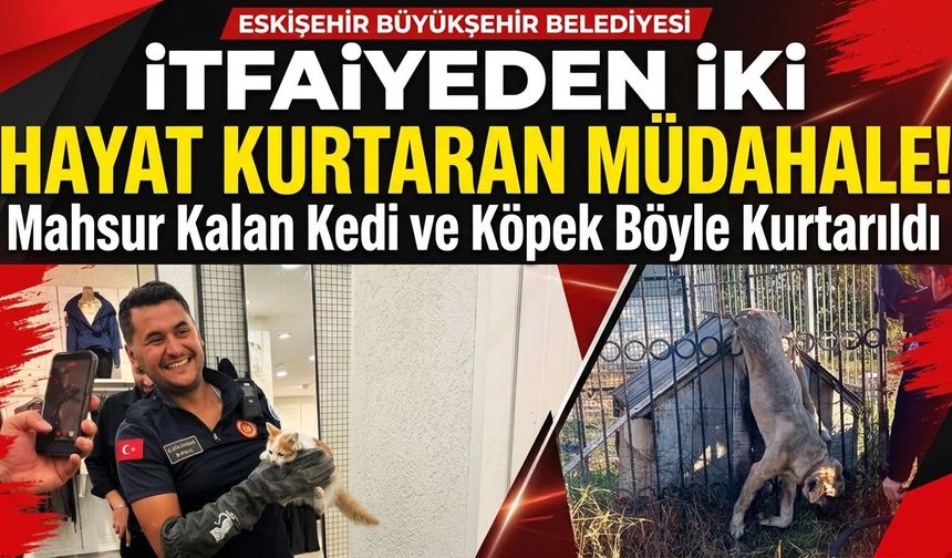 Eskişehir itfaiyesinden can dostlara nefes aldıran kurtarma