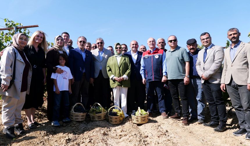 Eskişehir’de 820 yıllık Selçuklu köyünde bağ bozumu geleneği yaşatıldı