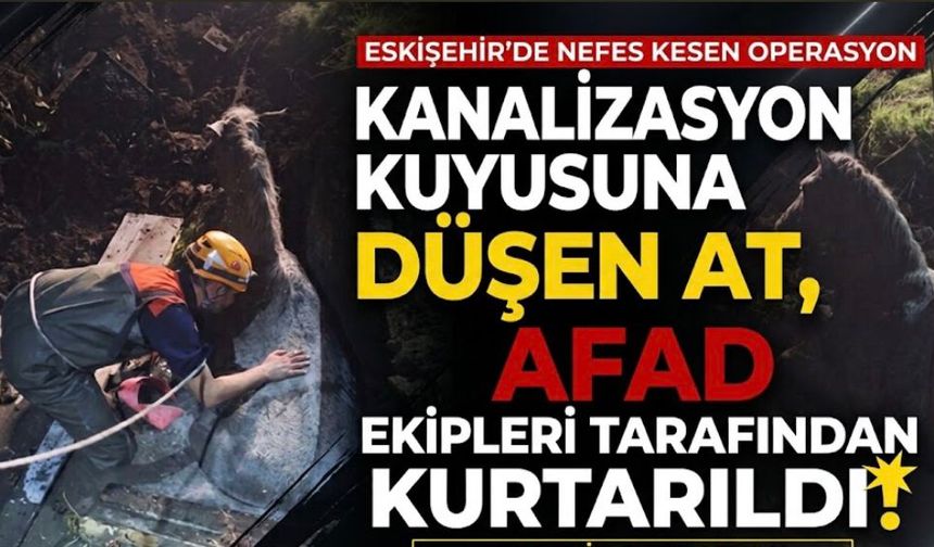 Eskişehir’de kanalizasyon kuyusuna düşen at AFAD ekipleri tarafından kurtarıldı