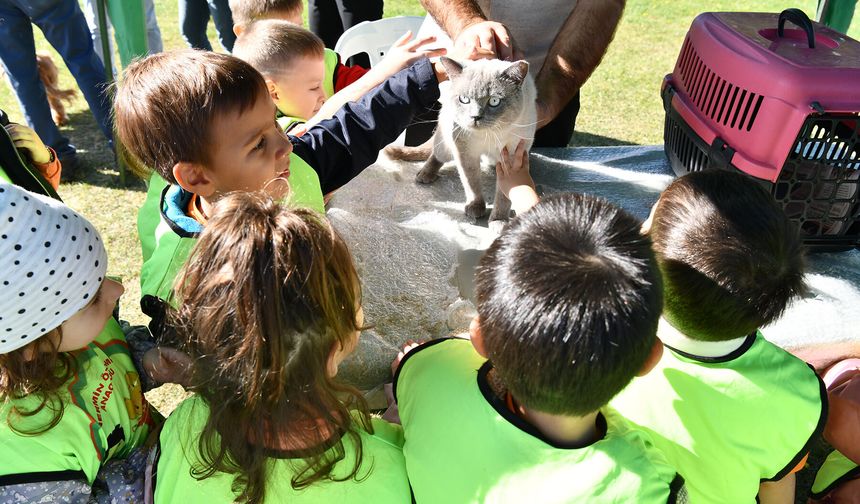 Tepebaşı’nda 15 bin 334 can dost sıcak yuvaya kavuştu